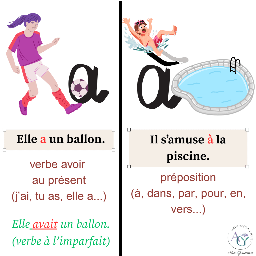 Les homophones grammaticaux illustrés